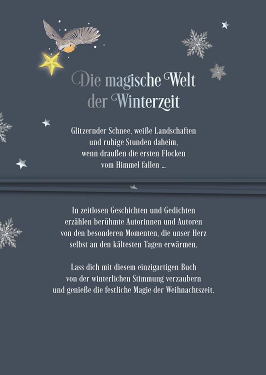 Produktbild: Die sch&ouml;nsten Geschichten aus dem Schnee