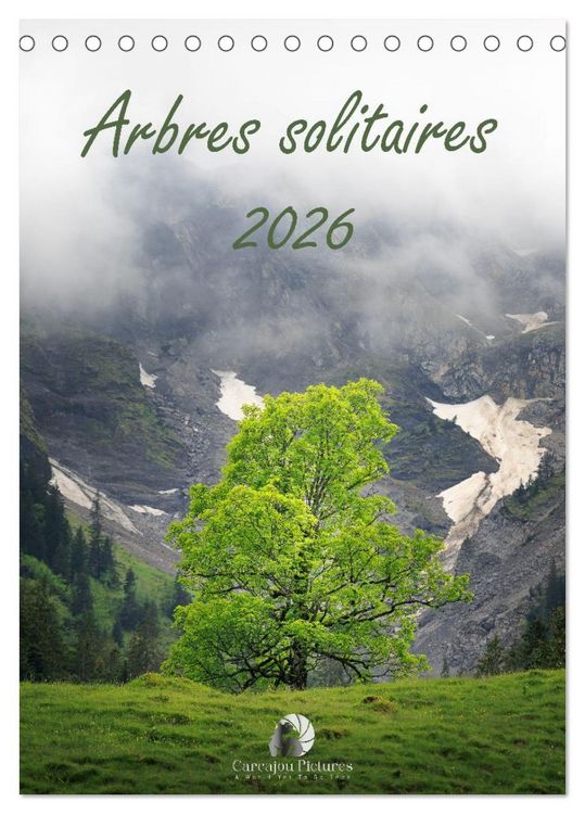 Produktbild: Arbres solitaires (Calendrier de bureau 2026 DIN A5 horizontal), CALVENDO calendrier mensuel