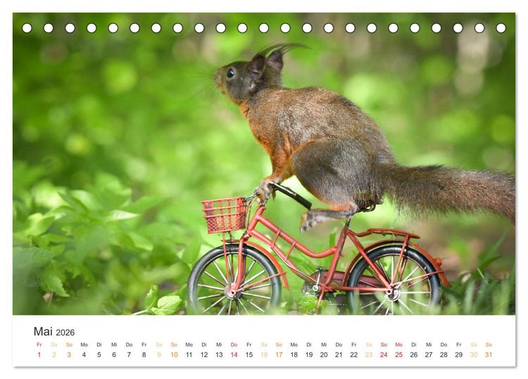 Produktbild: Geheimes Waldleben (Tischkalender 2026 DIN A5 quer), CALVENDO Monatskalender