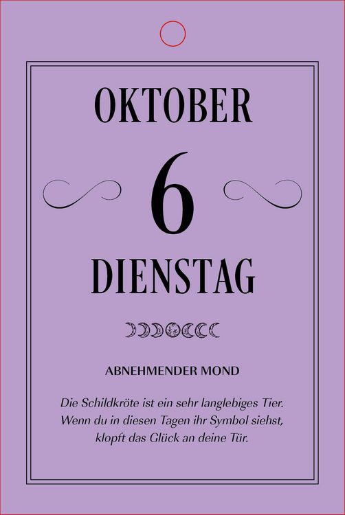 Produktbild: Hexenkalender 2026