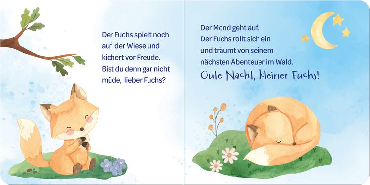 Produktbild: Ich sag Gute Nacht ...