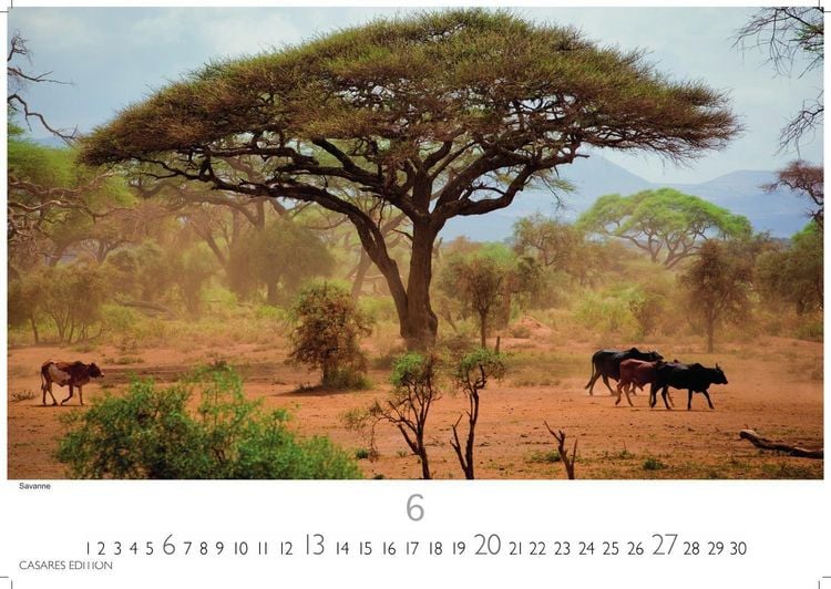 Produktbild: Kenia & Serengheti Kalender 2027 &ndash; Wandkalender | Fotokalender Afrika 24x35cm &ndash; Wundersch&ouml;ne Tierkalender- und Naturschutzfotos.