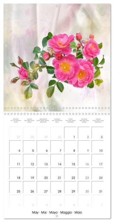 Produktbild: Sheer joy (Wall Calendar 2026 12 &times; 12 Inch) CALVENDO 12 Month Wall Calendar