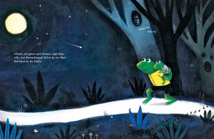 Produktbild: Komm mit, kleiner Frosch