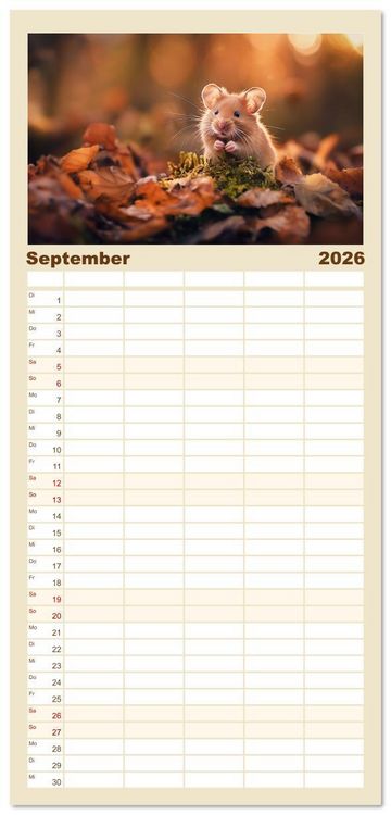 Produktbild: Familienplaner 2026 - Wild und flauschig - Hamster - Abenteuer in freier Natur mit 5 Spalten (Wandkalender, 21 x 45 cm) CALVENDO