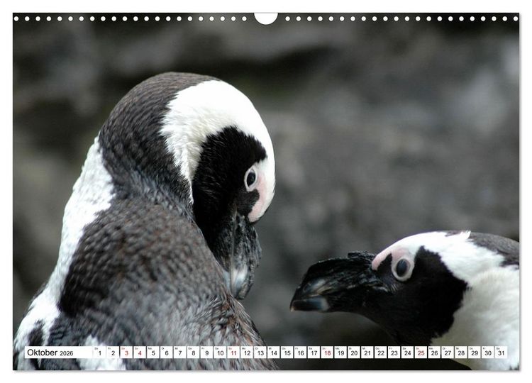 Produktbild: Tierische Fracktr&auml;ger (Wandkalender 2026 DIN A3 quer), CALVENDO Monatskalender