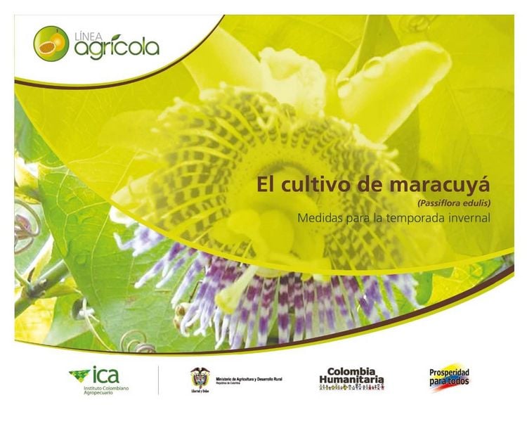 Produktbild: El cultivo de maracuy&aacute; (Passiflora edulis) medidas para la temporada invernal