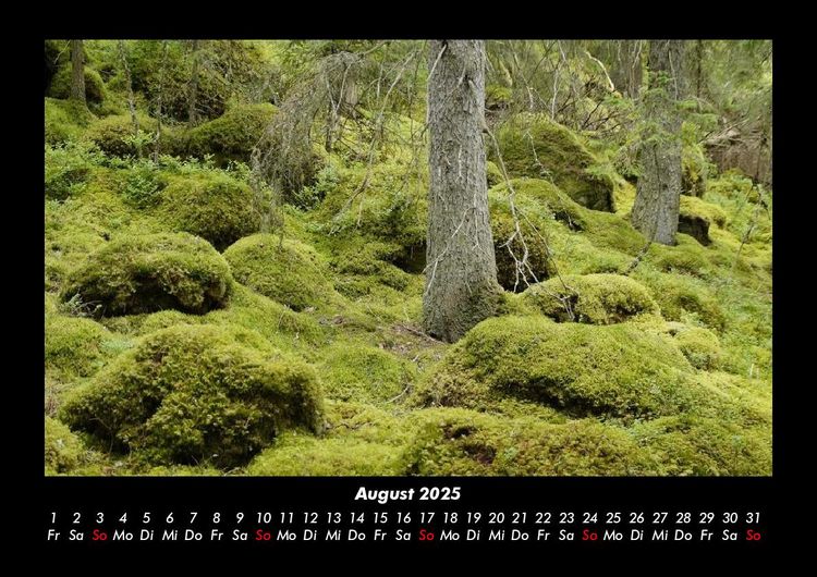 Produktbild: Landschaftskalender 2025 Fotokalender DIN A3