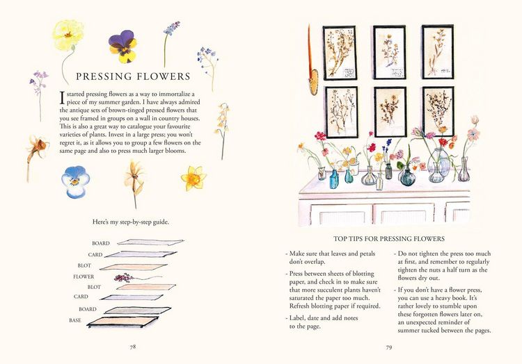 Produktbild: Seasonal Living