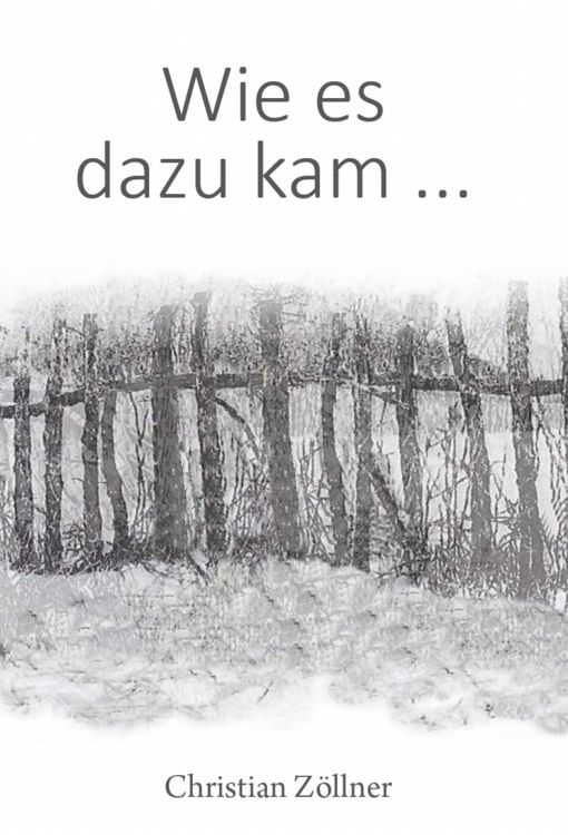 Produktbild: Wie es dazu kam ...