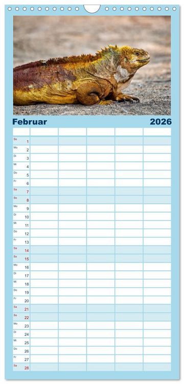 Produktbild: Familienplaner 2026 - Drachen: Geheimnisvolles Tierreich mit 5 Spalten (Wandkalender, 21 x 45 cm) CALVENDO