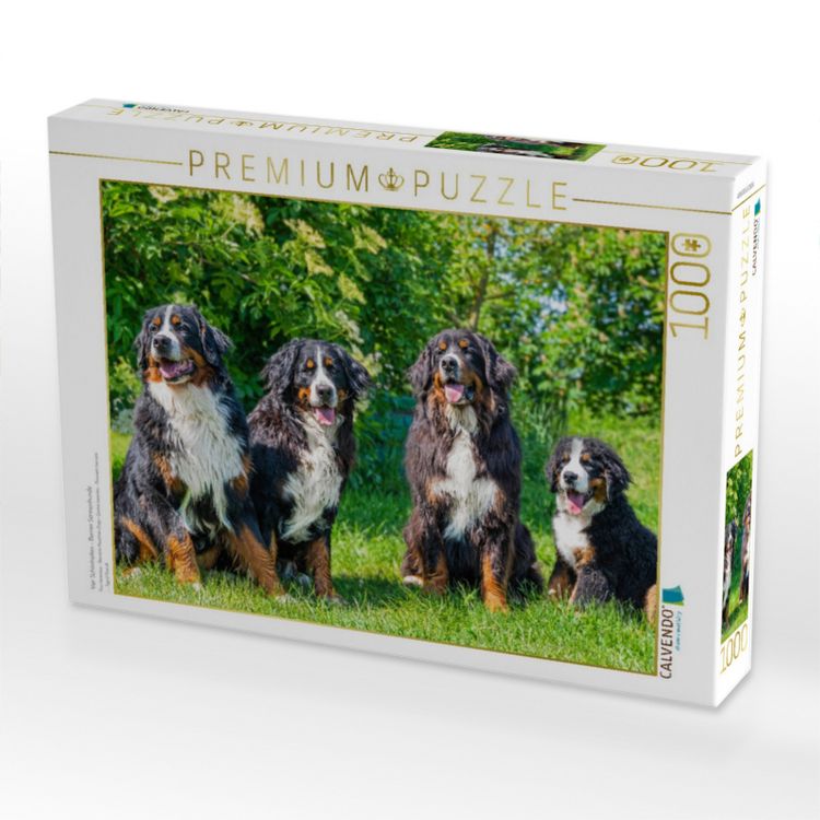 Produktbild: CALVENDO Puzzle Vier Sch&ouml;nheiten - Berner Sennenhunde | 1000 Teile Lege-Gr&ouml;&szlig;e 64x48cm Foto-Puzzle f&uuml;r gl&uuml;ckliche Stunden