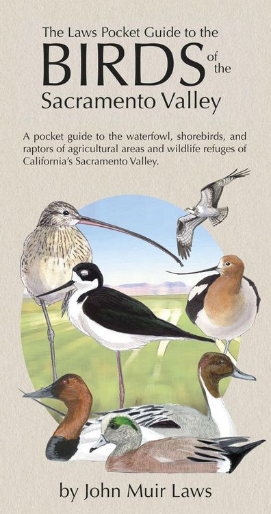 Produktbild: The Laws Pocket Guide to the Birds of the Sacramento Valley