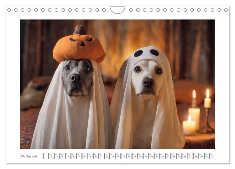 Produktbild: WUFF und WOW (Wandkalender 2027 DIN A4 quer), CALVENDO Monatskalender