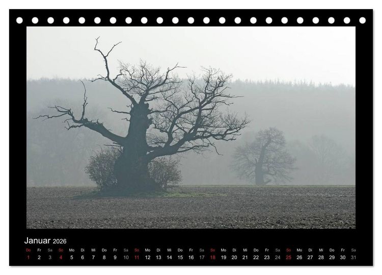 Produktbild: M&auml;rchenhafter Reinhardswald und Urwald Sababurg (Tischkalender 2026 DIN A5 quer), CALVENDO Monatskalender