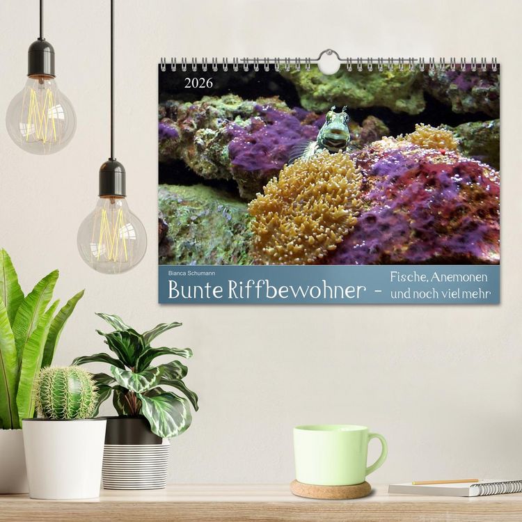 Produktbild: Bunte Riffbewohner - Fische, Anemonen und noch viel mehr (Wandkalender 2026 DIN A4 quer), CALVENDO Monatskalender