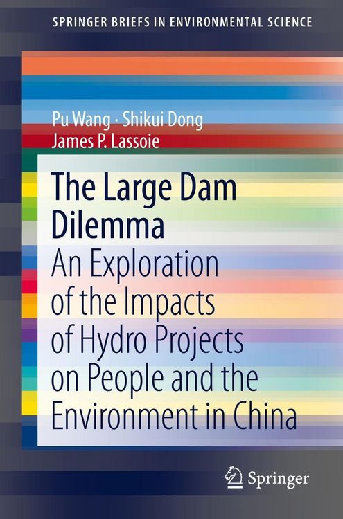 Produktbild: The Large Dam Dilemma