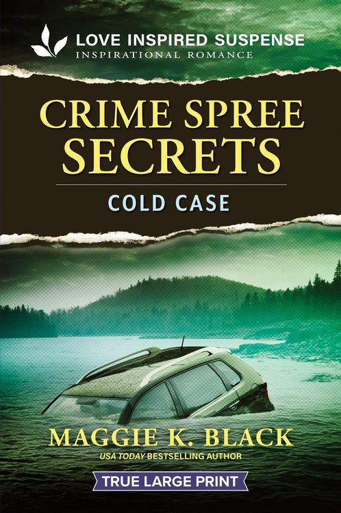 Produktbild: Crime Spree Secrets