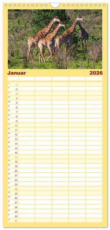 Produktbild: Familienplaner 2026 - Komm mit auf Safari! Botswana und S&uuml;dafrika mit 5 Spalten (Wandkalender, 21 x 45 cm) CALVENDO