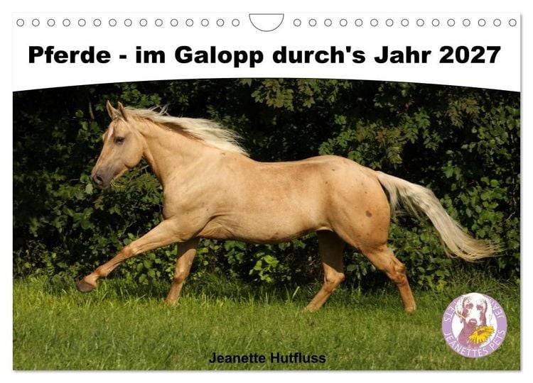 Produktbild: Pferde - im Galopp durch's Jahr 2027 (Wandkalender 2027 DIN A4 quer), CALVENDO Monatskalender