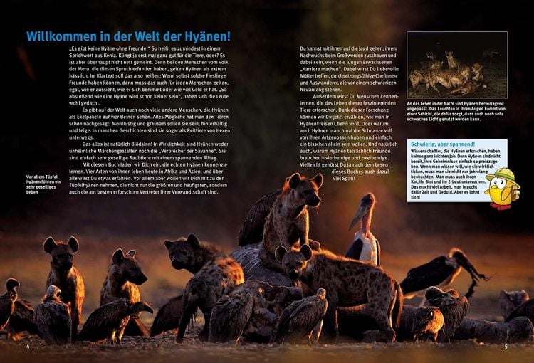 Produktbild: Entdecke die Hy&auml;nen