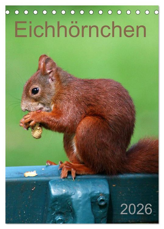 Produktbild: Eichh&ouml;rnchen (Tischkalender 2026 DIN A5 hoch), CALVENDO Monatskalender