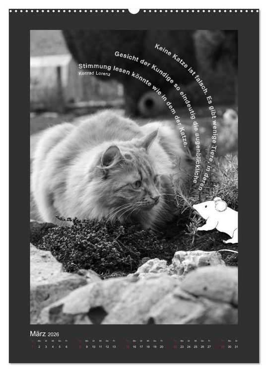 Produktbild: Katz & Maus (Wandkalender 2026 DIN A2 hoch), CALVENDO Monatskalender