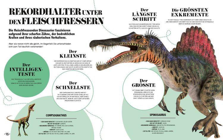 Produktbild: 5-Minuten Wissen Dinosaurier