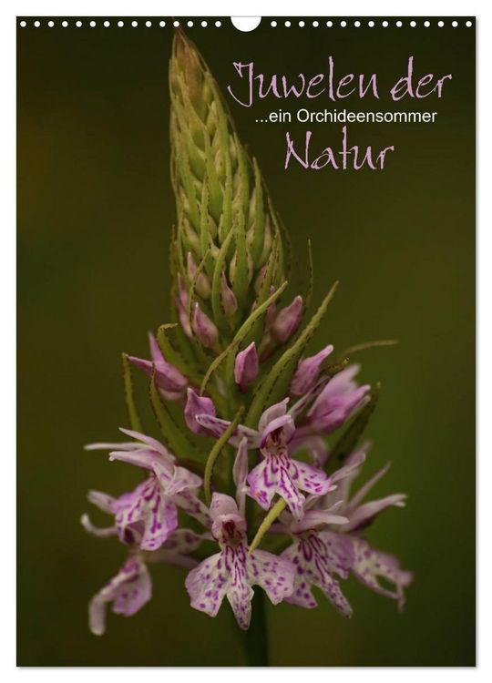 Produktbild: Juwelen der Natur - Ein Orchideensommer (Wandkalender 2026 DIN A3 hoch), CALVENDO Monatskalender