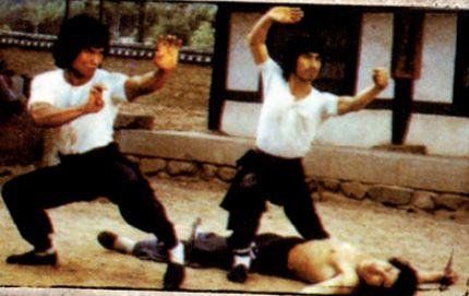 Produktbild: Asia Line Vol. 30: Die Vollstrecker der Ninja [Limited Edition]