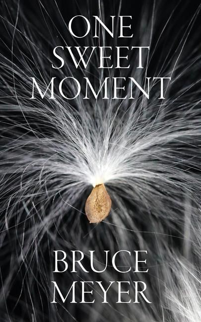 Produktbild: One Sweet Moment