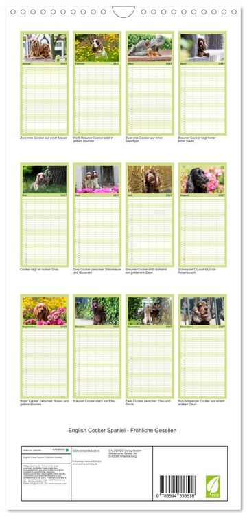 Produktbild: Familienplaner 2027 - English Cocker Spaniel - Fr&ouml;hliche Gesellen mit 5 Spalten (Wandkalender, 21 x 45 cm) CALVENDO