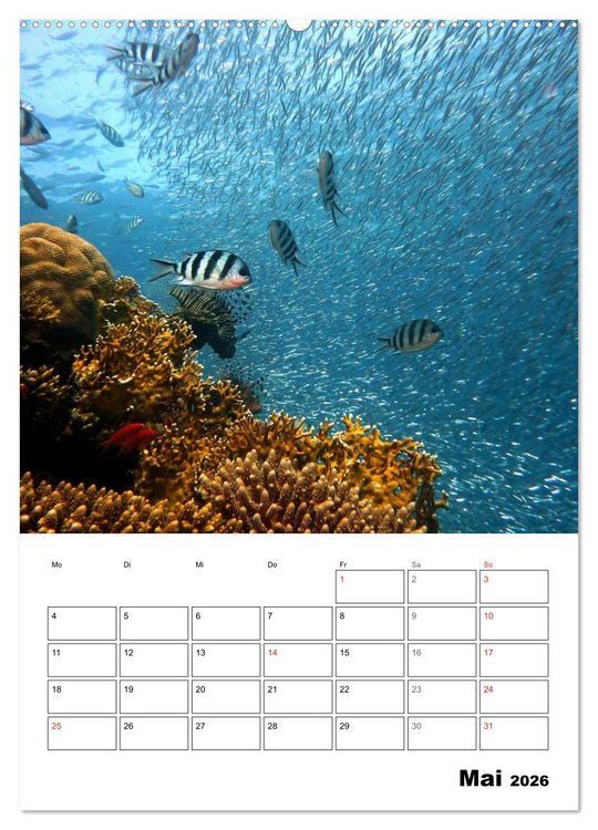 Produktbild: Zauberwelt. Fische, Korallen und Co. (Wandkalender 2026 DIN A2 hoch), CALVENDO Monatskalender