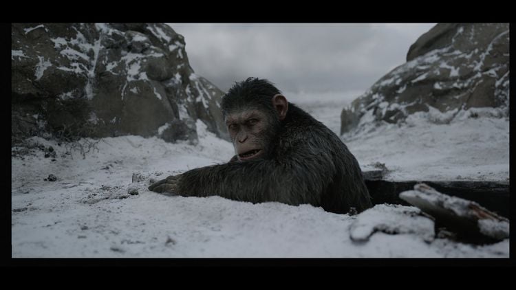 Produktbild: Planet der Affen: Survival