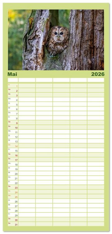 Produktbild: Familienplaner 2026 - Eulen - Fl&uuml;gel der Nacht mit 5 Spalten (Wandkalender, 21 x 45 cm) CALVENDO