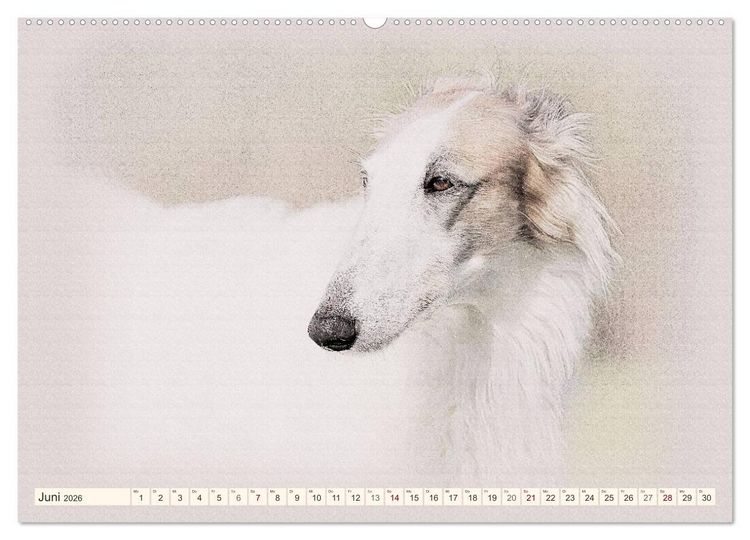 Produktbild: Windhunde 2026 (hochwertiger Premium Wandkalender 2026 DIN A2 quer), Kunstdruck in Hochglanz