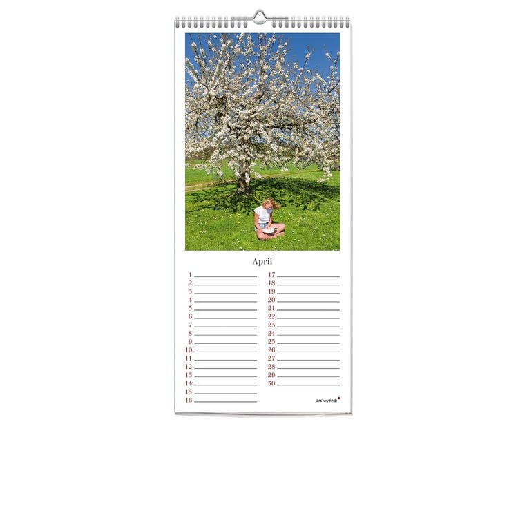 Produktbild: Geburstagskalender Lesen, immerw&auml;hrend (neu)