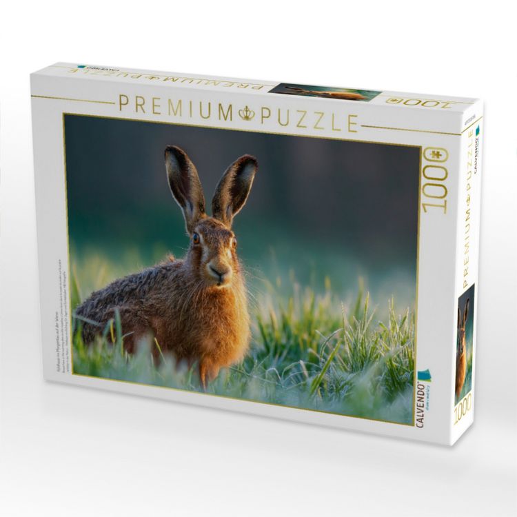 Produktbild: CALVENDO Puzzle Feldhase im Morgentau auf der Wiese | 1000 Teile Lege-Gr&ouml;&szlig;e 64x48cm Foto-Puzzle f&uuml;r gl&uuml;ckliche Stunden