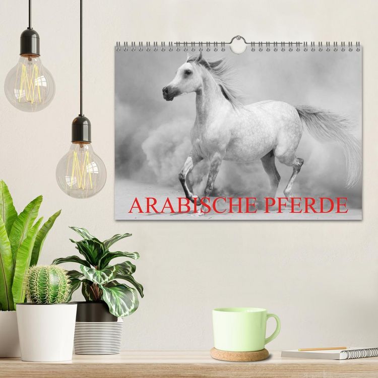 Produktbild: Arabische Pferde (Wandkalender 2026 DIN A4 quer), CALVENDO Monatskalender