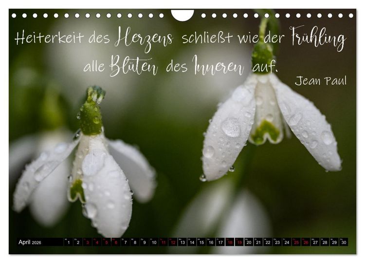 Produktbild: Bilder und Texte f&uuml;r die Seele (Wandkalender 2026 DIN A4 quer), CALVENDO Monatskalender