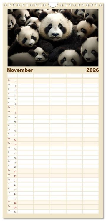 Produktbild: Familienplaner 2026 - Mehr ist einfach besser mit 5 Spalten (Wandkalender, 21 x 45 cm) CALVENDO