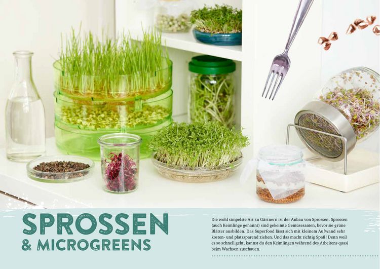 Produktbild: Endlich Mittagspause! Indoor-G&auml;rtnern zwischen Mails und Meetings mit Pfl&uuml;cksalat, Sprossen & Co.