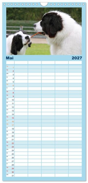 Produktbild: Familienplaner 2027 - Landseer - Das Wasser ist ihr Element mit 5 Spalten (Wandkalender, 21 x 45 cm) CALVENDO