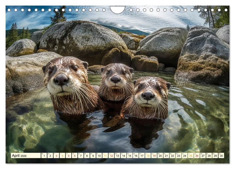 Produktbild: Fischotter - schlaue J&auml;ger (Wandkalender 2026 DIN A4 quer), CALVENDO Monatskalender