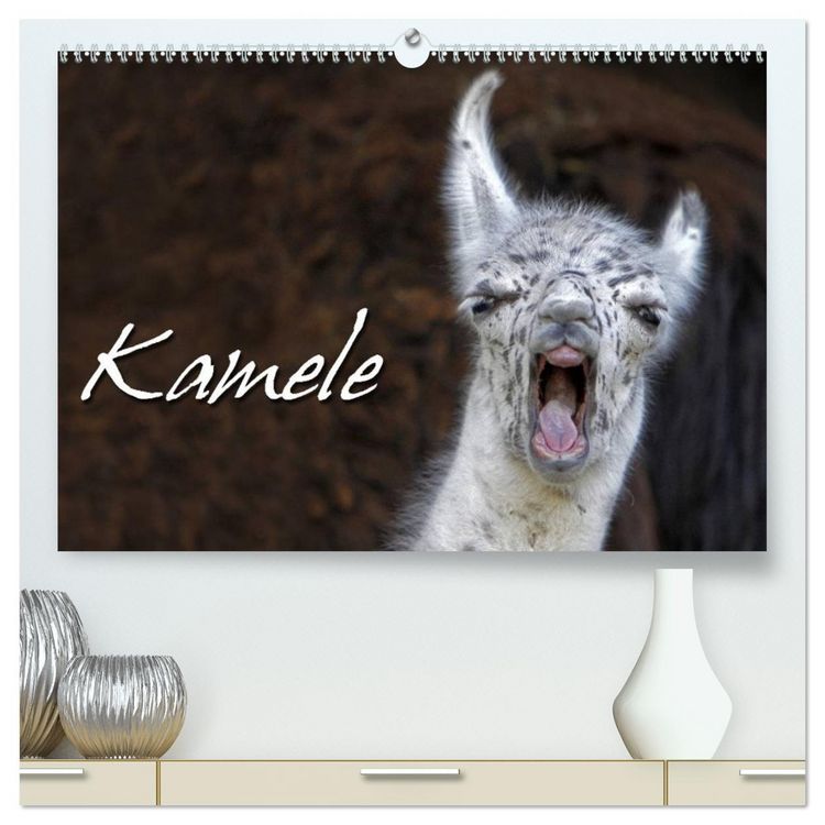 Produktbild: Kamele (hochwertiger Premium Wandkalender 2026 DIN A2 quer), Kunstdruck in Hochglanz