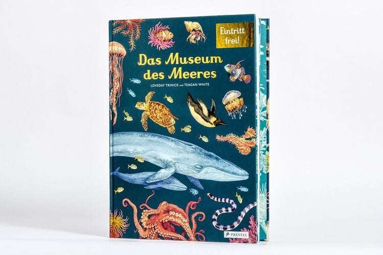 Produktbild: Das Museum des Meeres