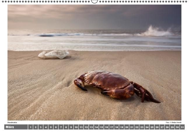Produktbild: Nordsee - Impressionen einer Landschaft am Meer (Wandkalender immerw&auml;hrend DIN A2 quer)