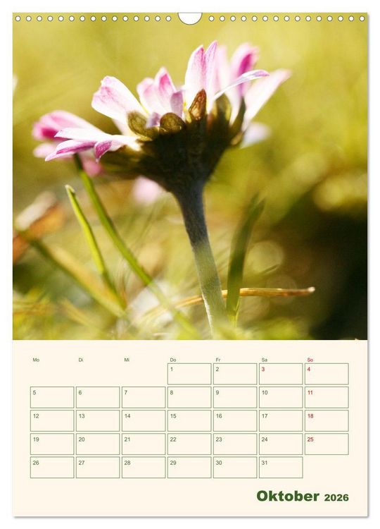 Produktbild: Vertr&auml;umte G&auml;nsebl&uuml;mchen (Wandkalender 2026 DIN A3 hoch), CALVENDO Monatskalender