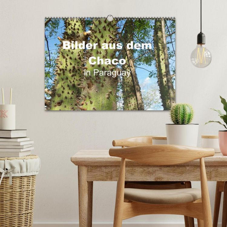 Produktbild: Bilder aus dem Chaco in Paraguay (Wandkalender 2026 DIN A3 quer), CALVENDO Monatskalender