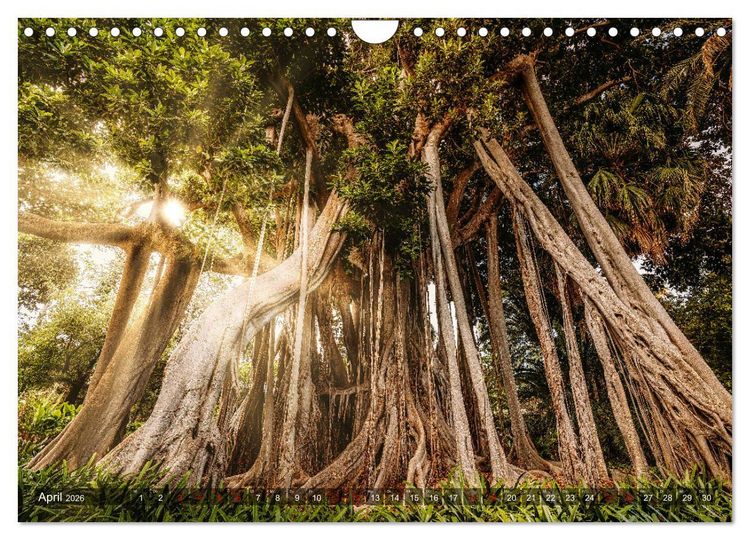Produktbild: Die Kanarische Inseln Teneriffa, Gran Canaria und Fuerteventura (Wandkalender 2026 DIN A4 quer), CALVENDO Monatskalender